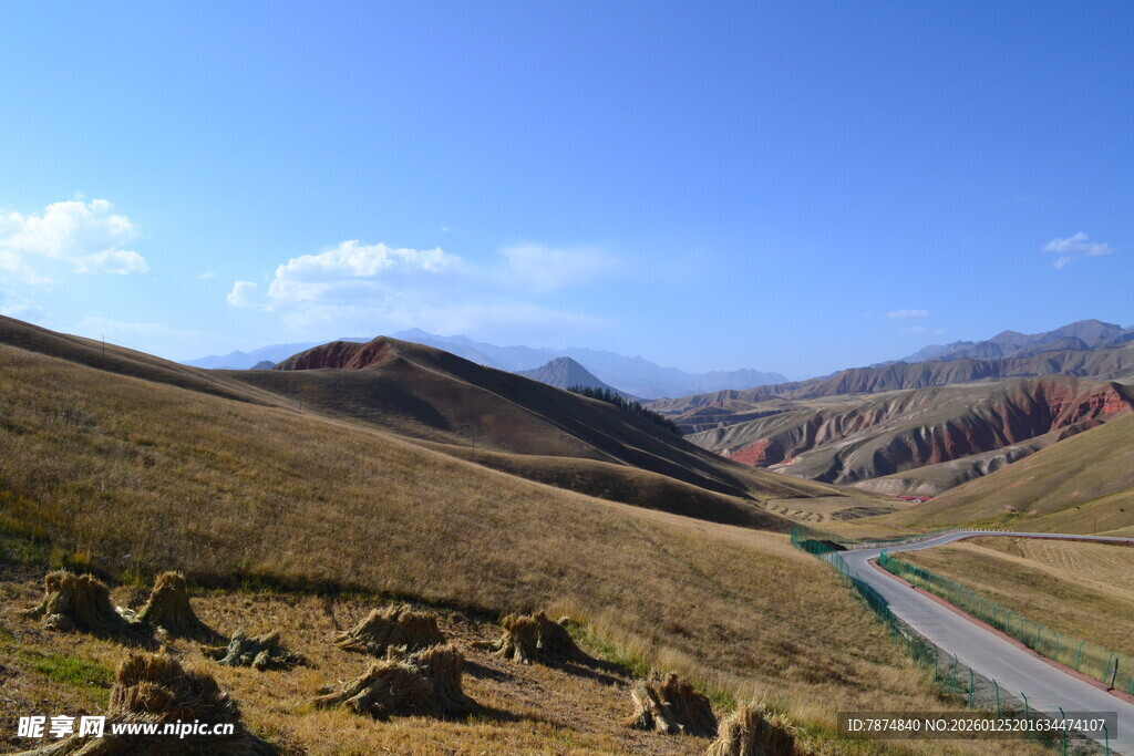 山间公路旁的悠然牧场景象