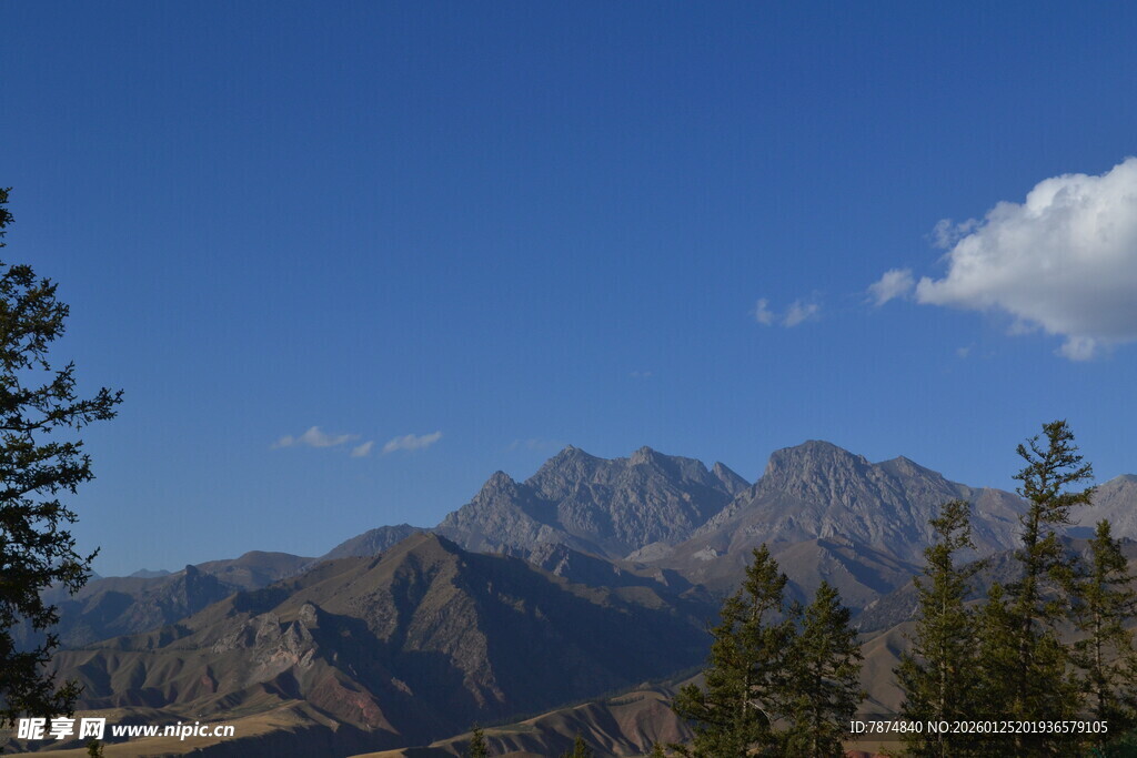 蓝天群山间的葱郁树木