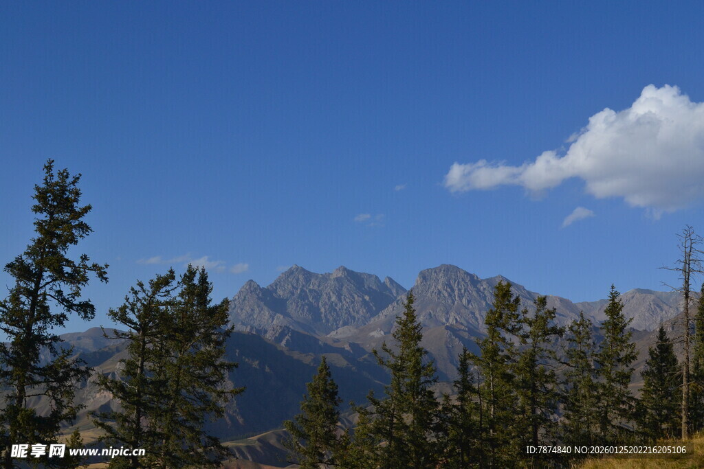蓝天山林间的壮美山脉