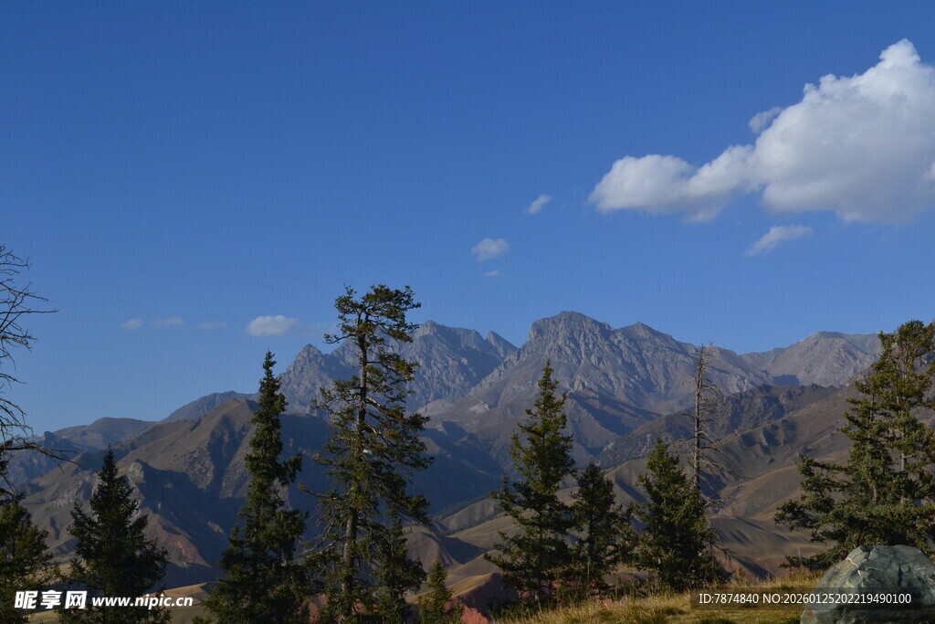 蓝天群山间的葱郁林木