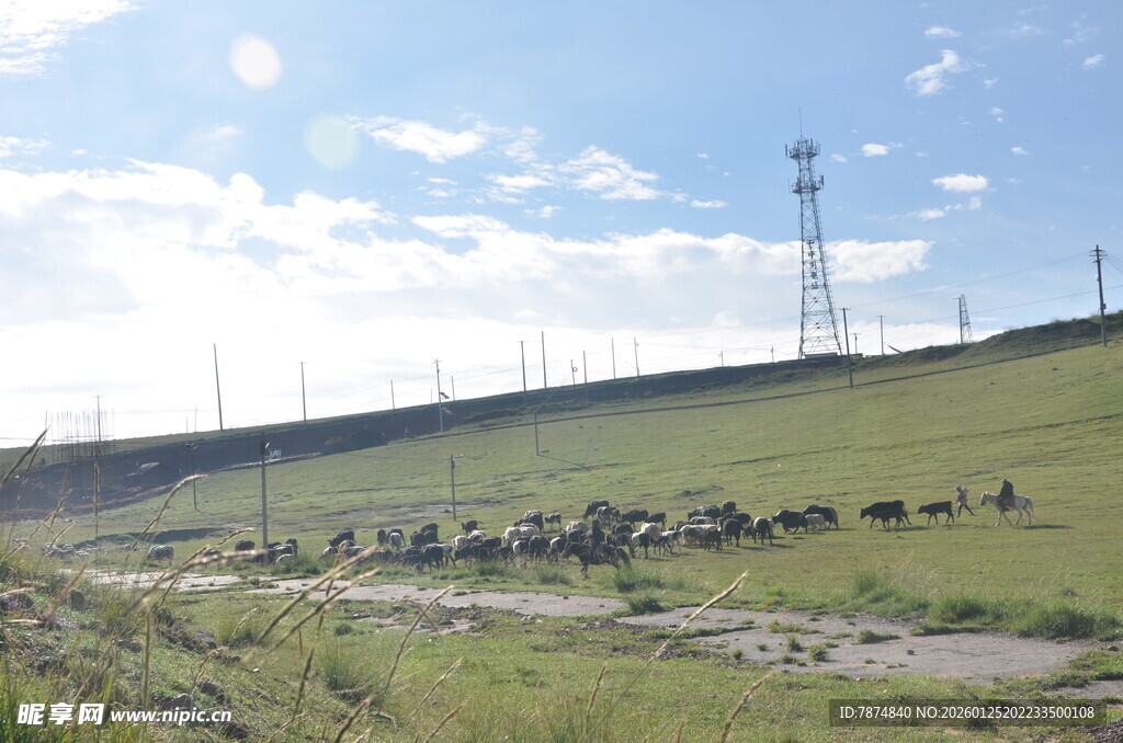 草原上的输电设施景观