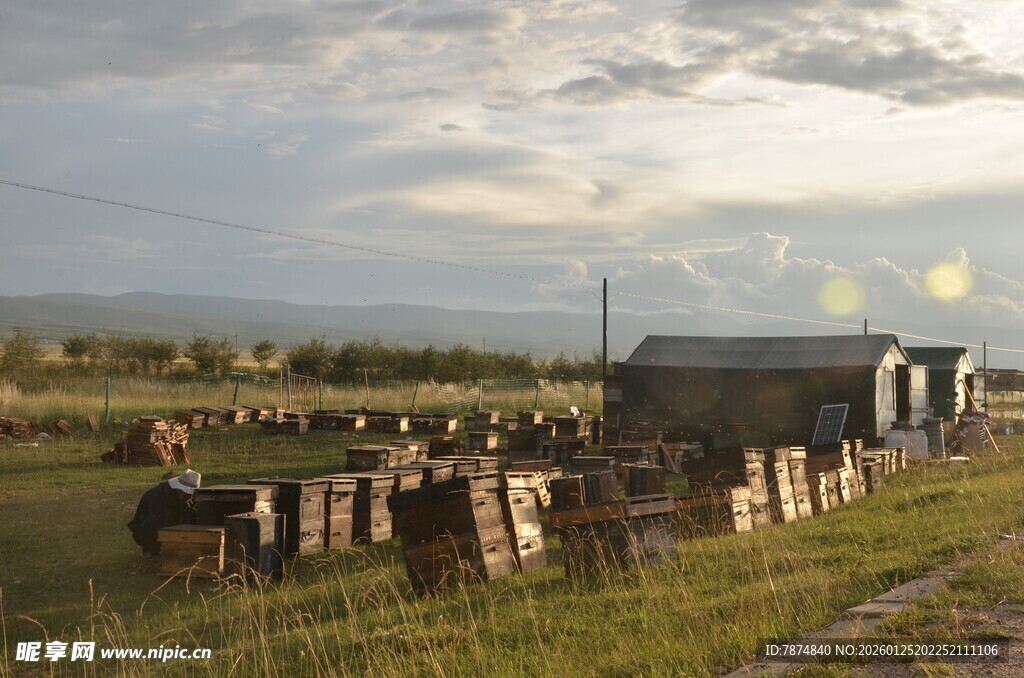 乡村牧场傍晚景象