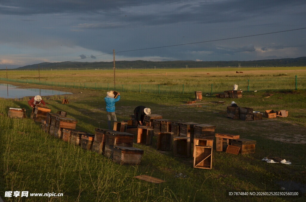 草原上的户外休闲场景
