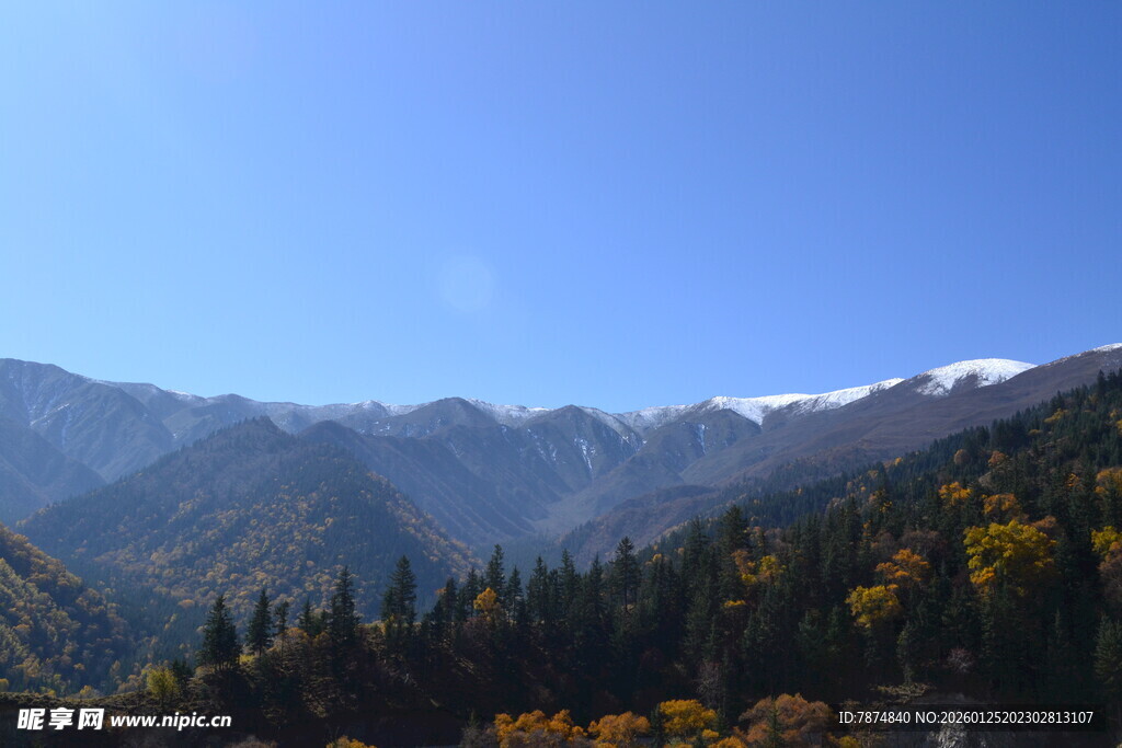 秋日山林与远处雪山美景
