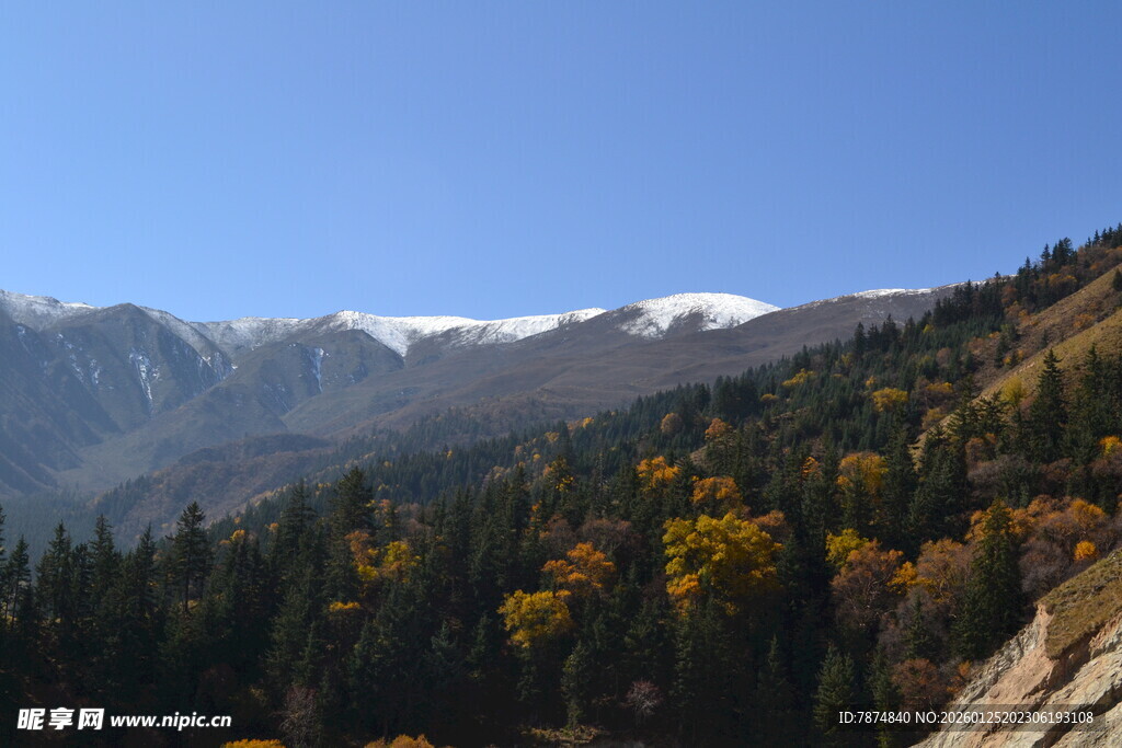 秋日山林间的雪山美景