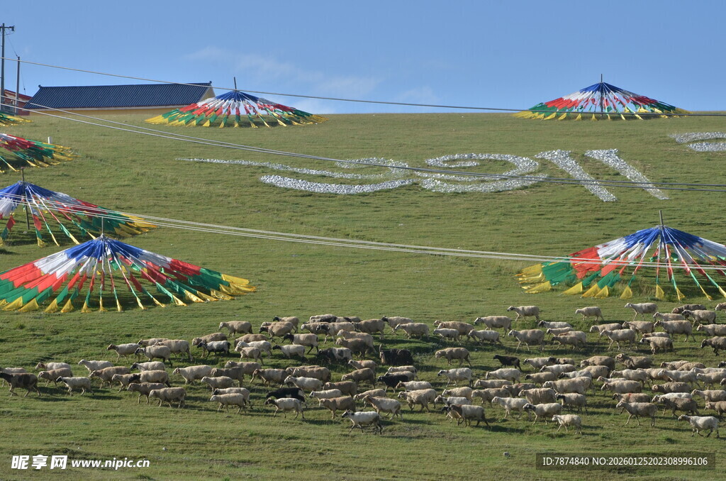 草原上的多彩帐篷与文字