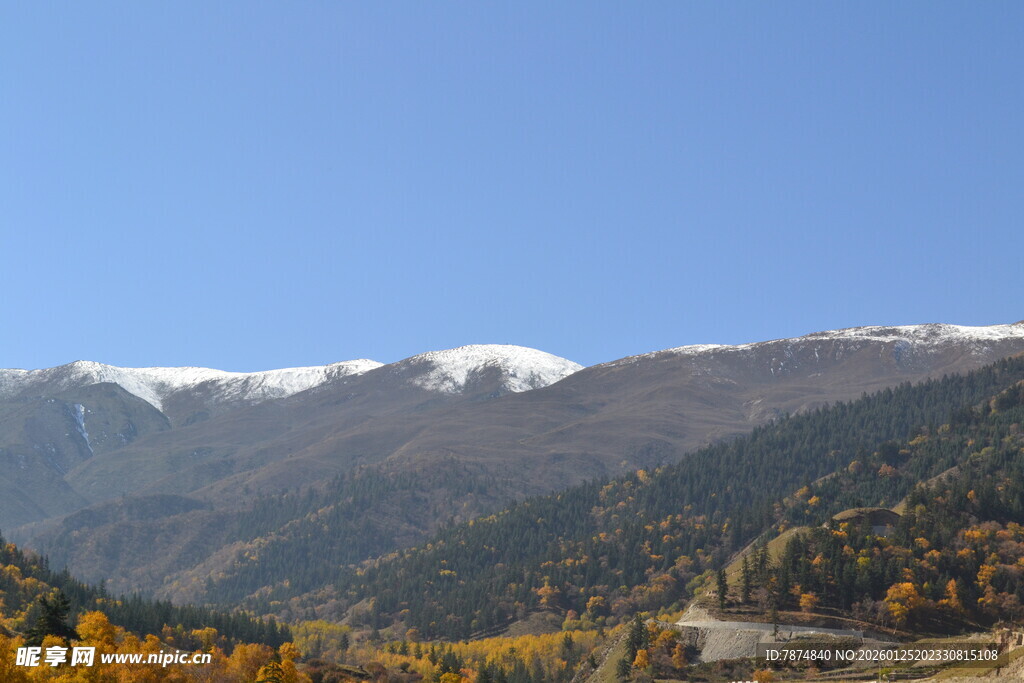 秋日雪山下的斑斓山林