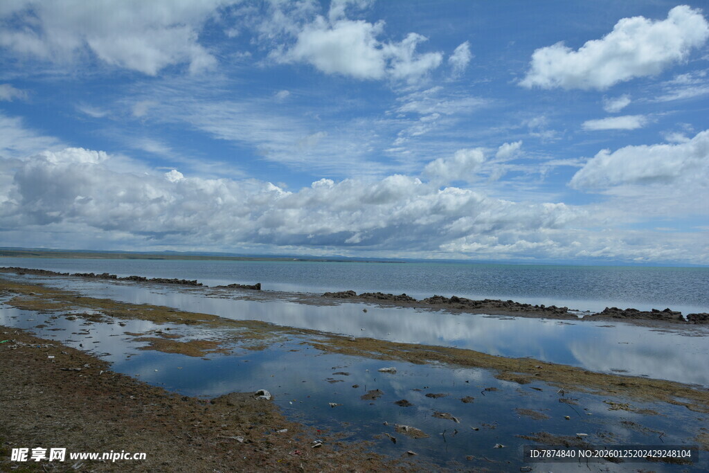 海边滩涂风光