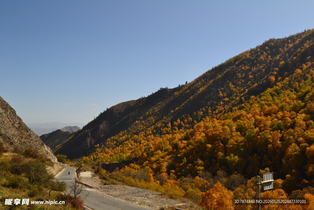 秋日山间公路美景
