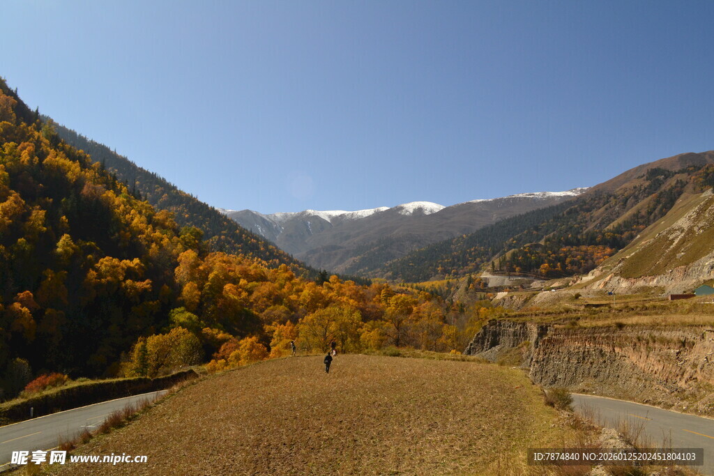 秋日山谷河畔美景