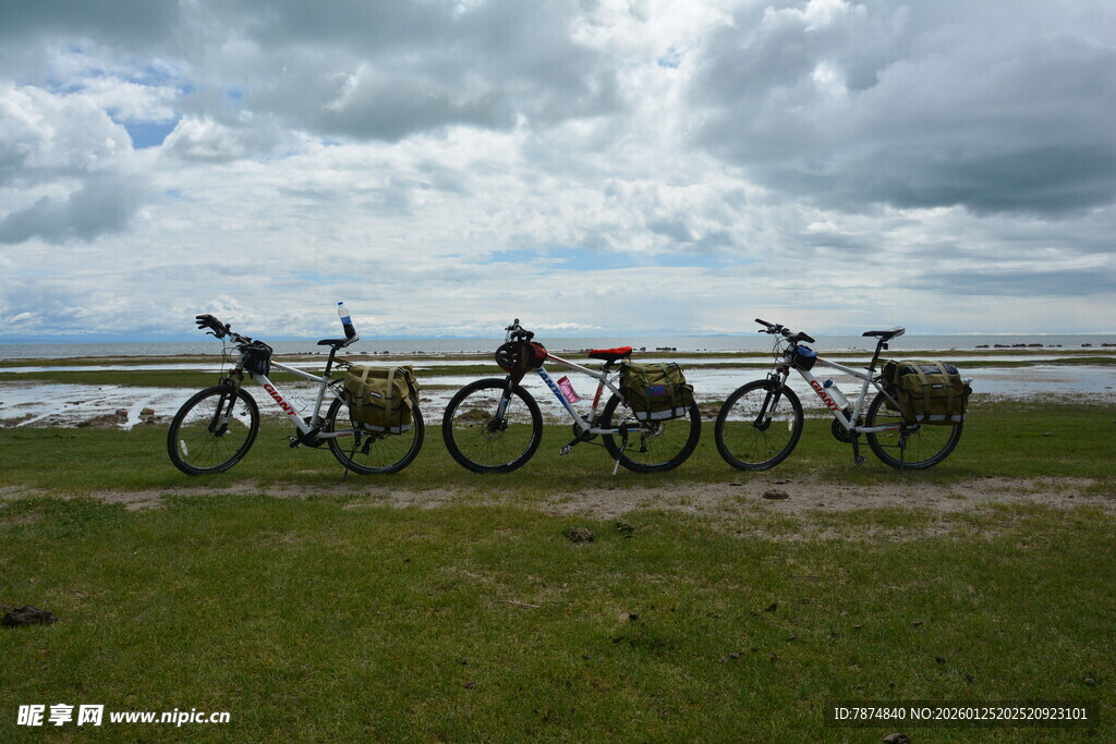 草原上停放的多辆自行车