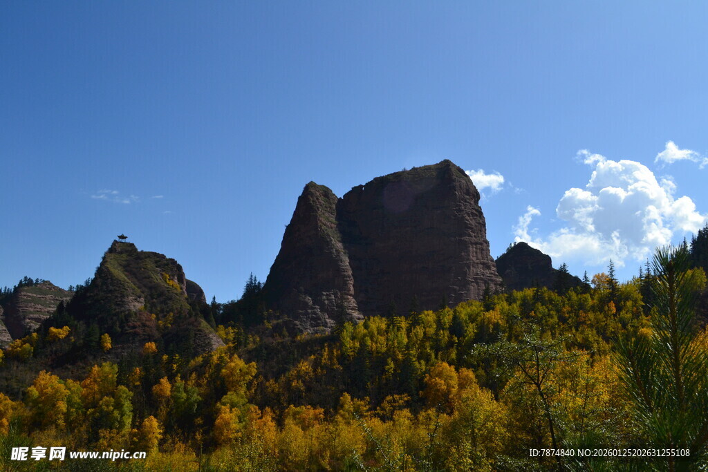 山间繁花簇拥的奇特岩石