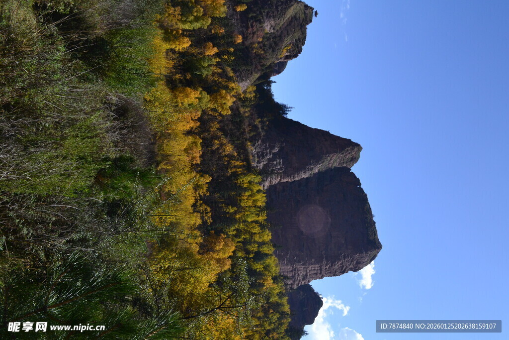 山间秋色 峭壁旁绚烂植被