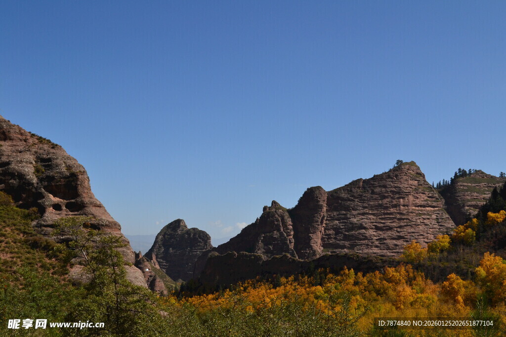 壮丽山景与绚烂花丛