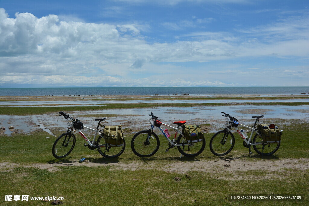 草原边停放的多辆自行车