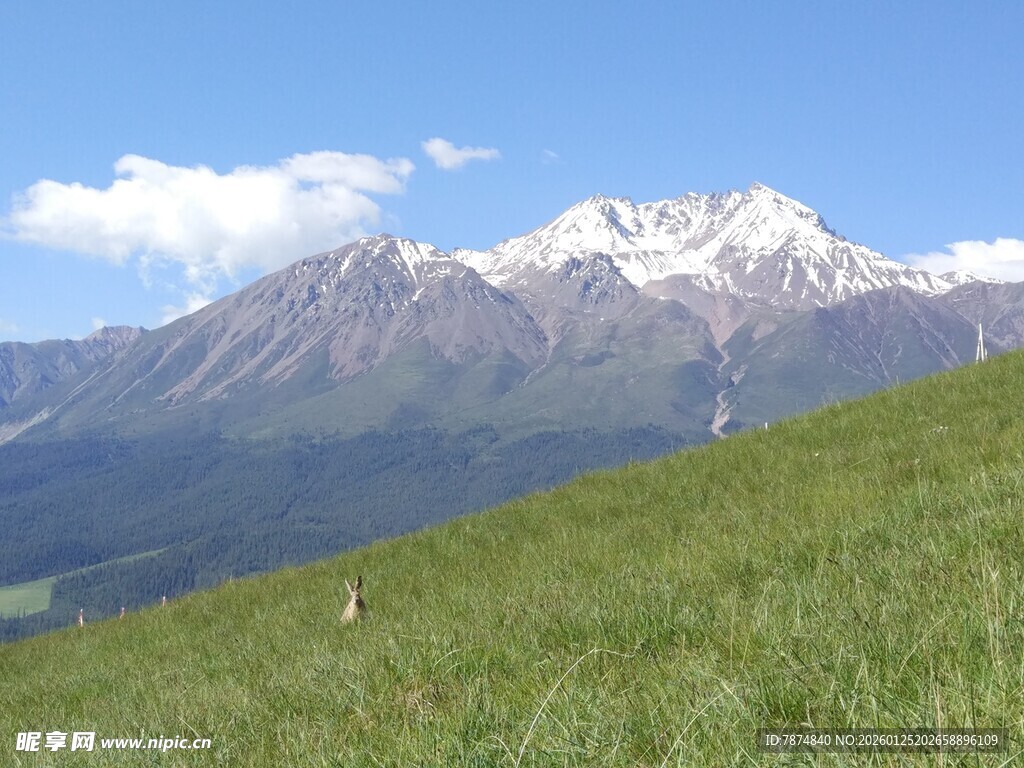 高山草甸间的壮丽雪山景