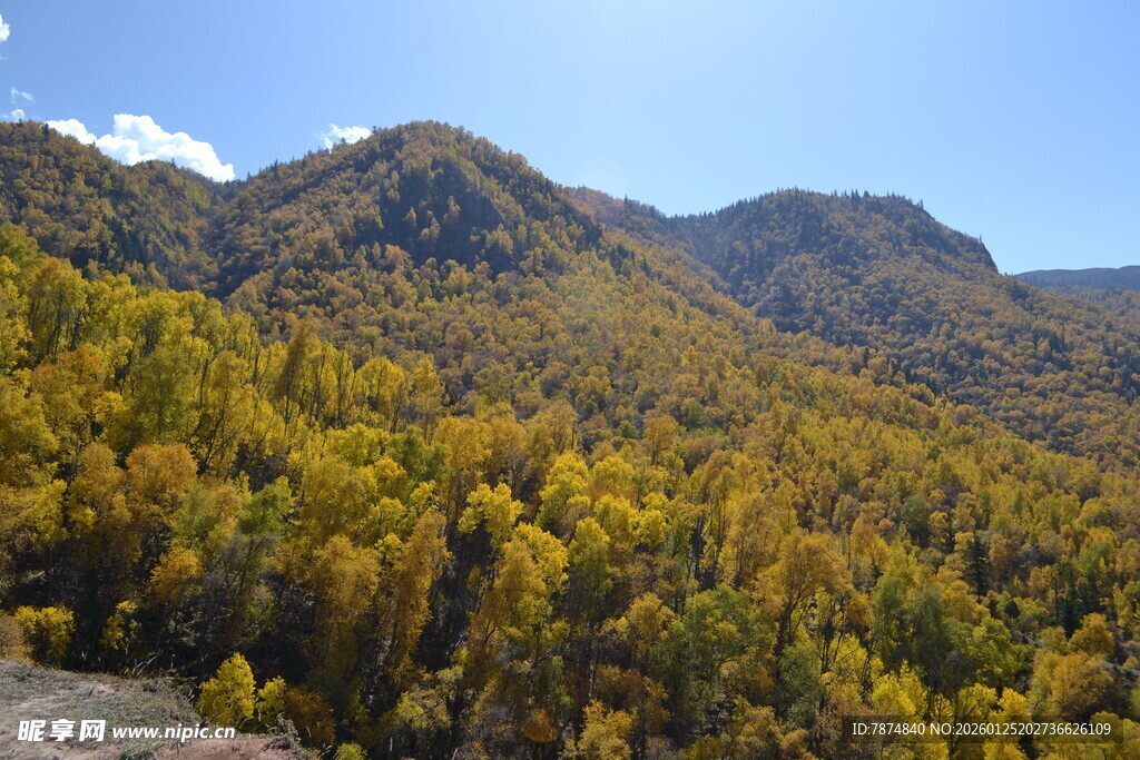 秋日山林壮丽风光