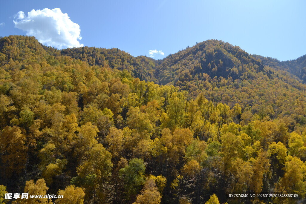 秋日山林壮美风光