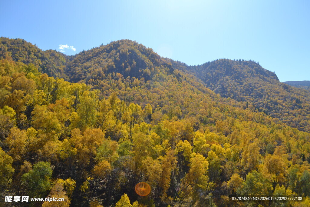 秋日山林美景俯瞰