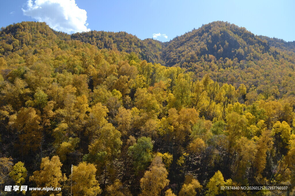 秋日山林美景赏