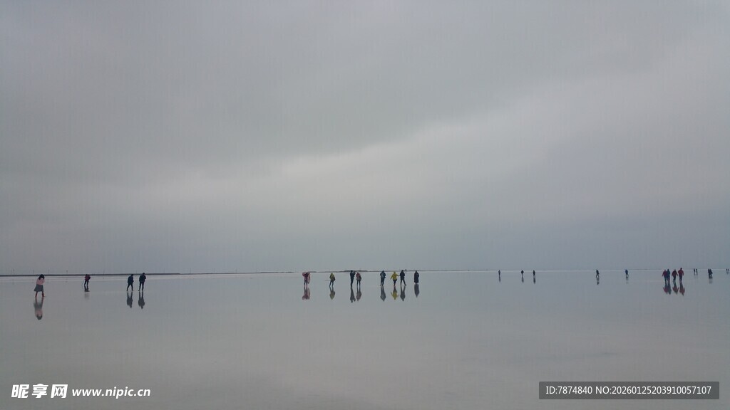 阴天中的架空电线