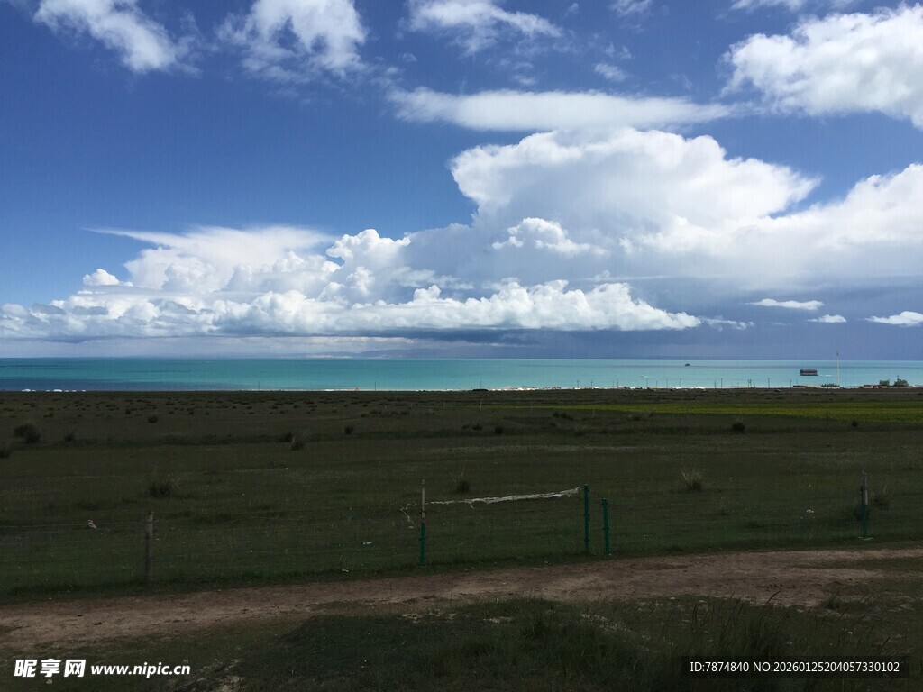 海边草原风光美景