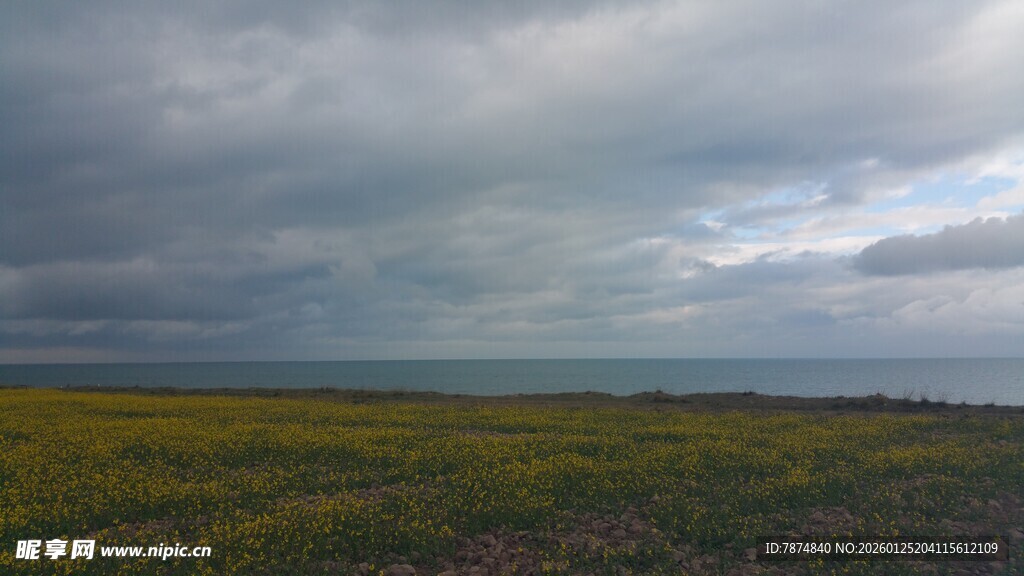 草原上的阴沉天空