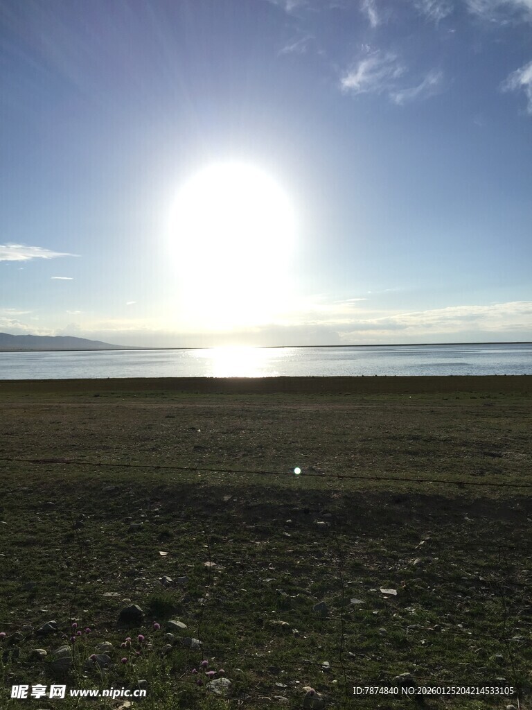 阳光下的开阔原野风光