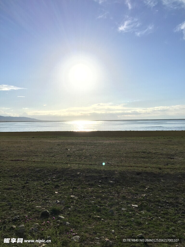 草原上的耀眼阳光