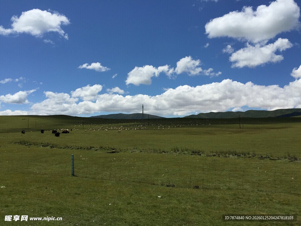 草原风光 蓝天白云下的牧场
