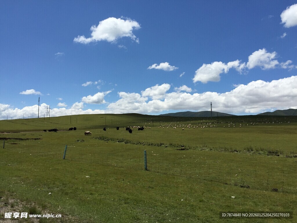 辽阔草原蓝天白云美景