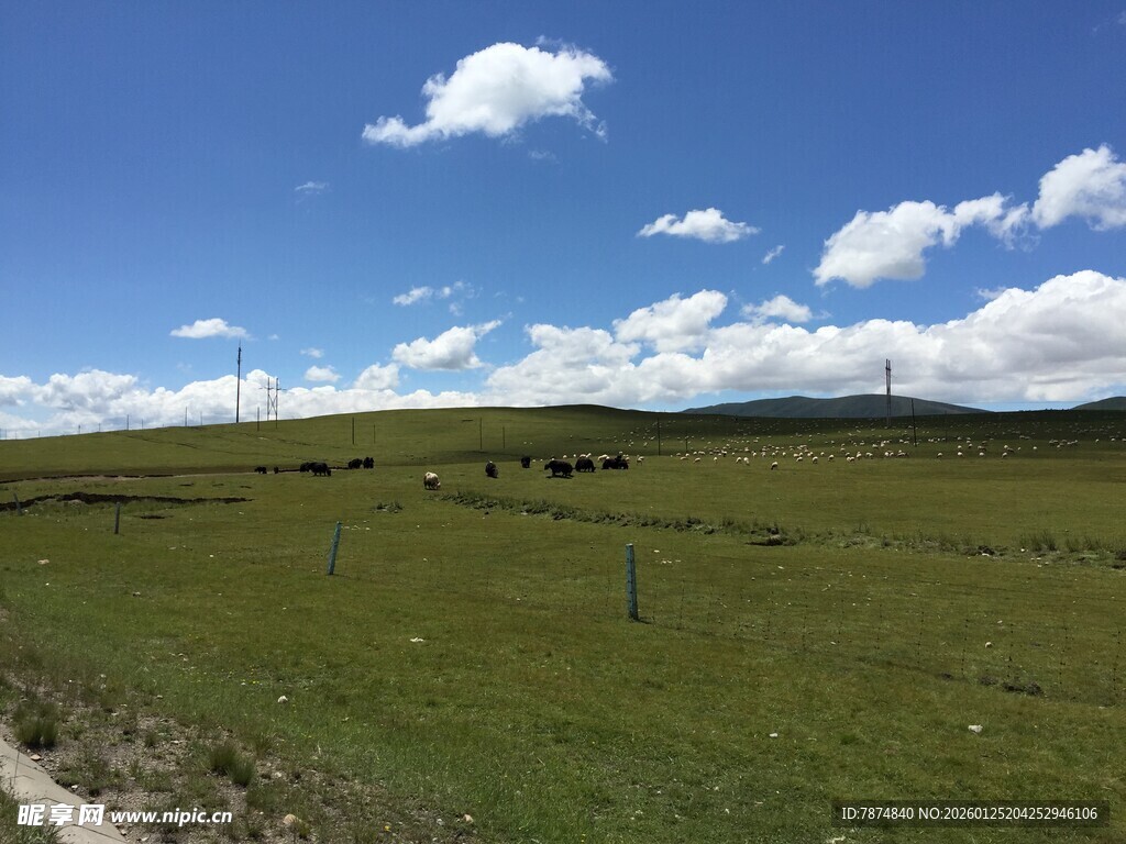 草原风光与远处风车
