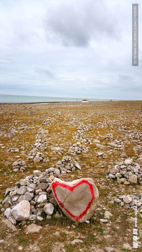 荒野中的爱心石块景观