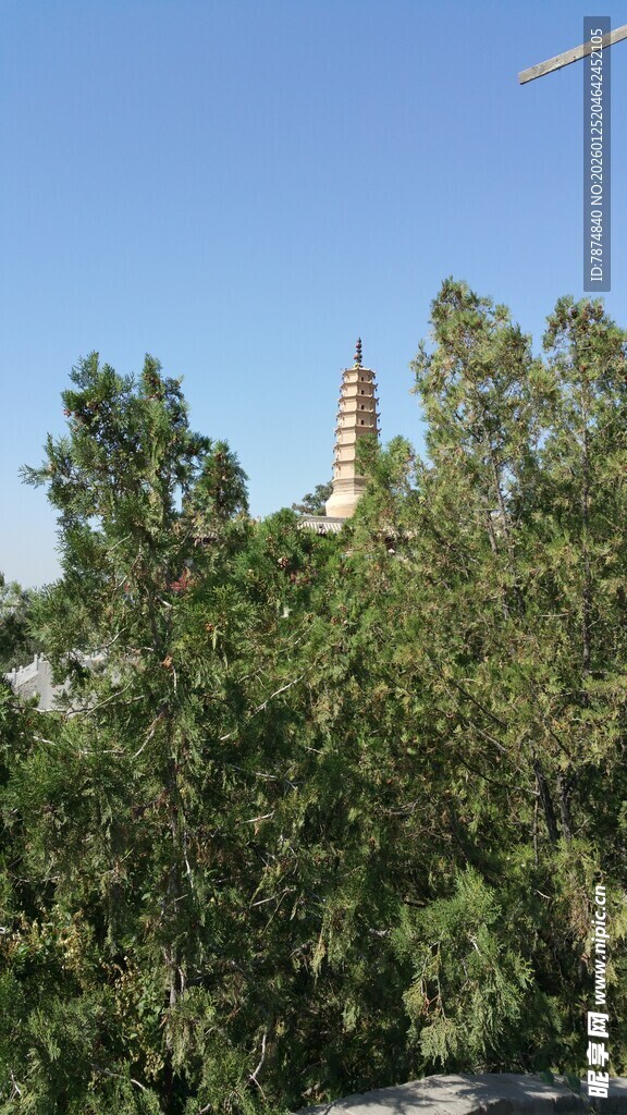 绿树掩映下的建筑尖顶