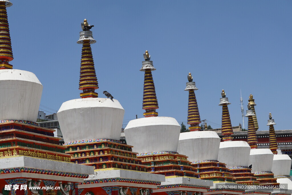 藏式白塔群 蓝天映衬之美