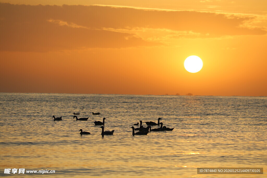 夕阳下海上的皮划艇运动