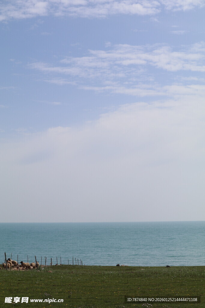 海边草地蓝天美景