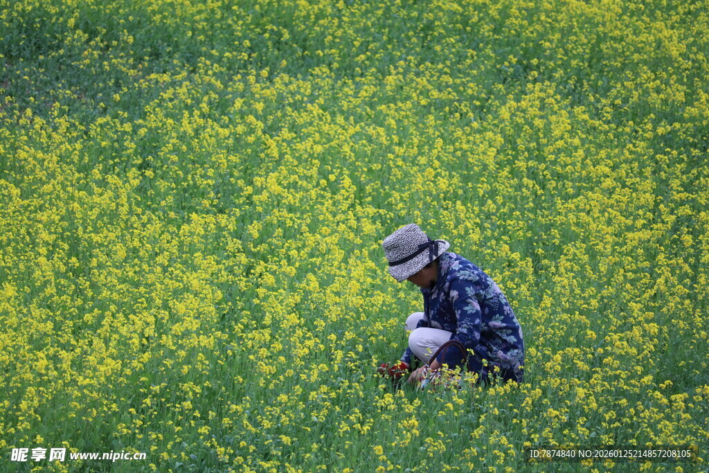 田间劳作的农民