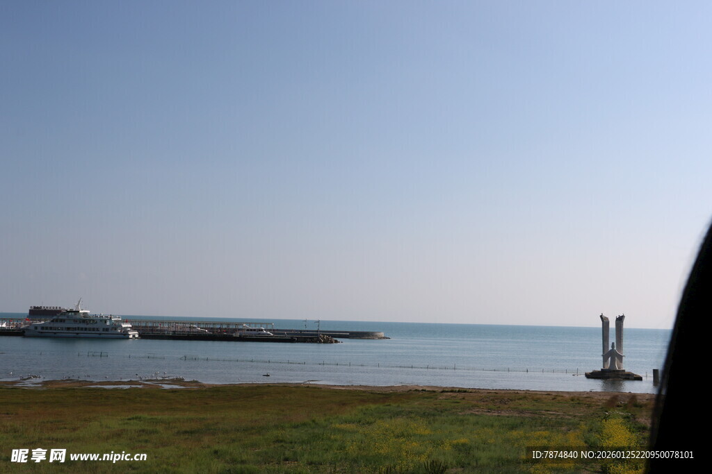 海边草地与远处船只景观