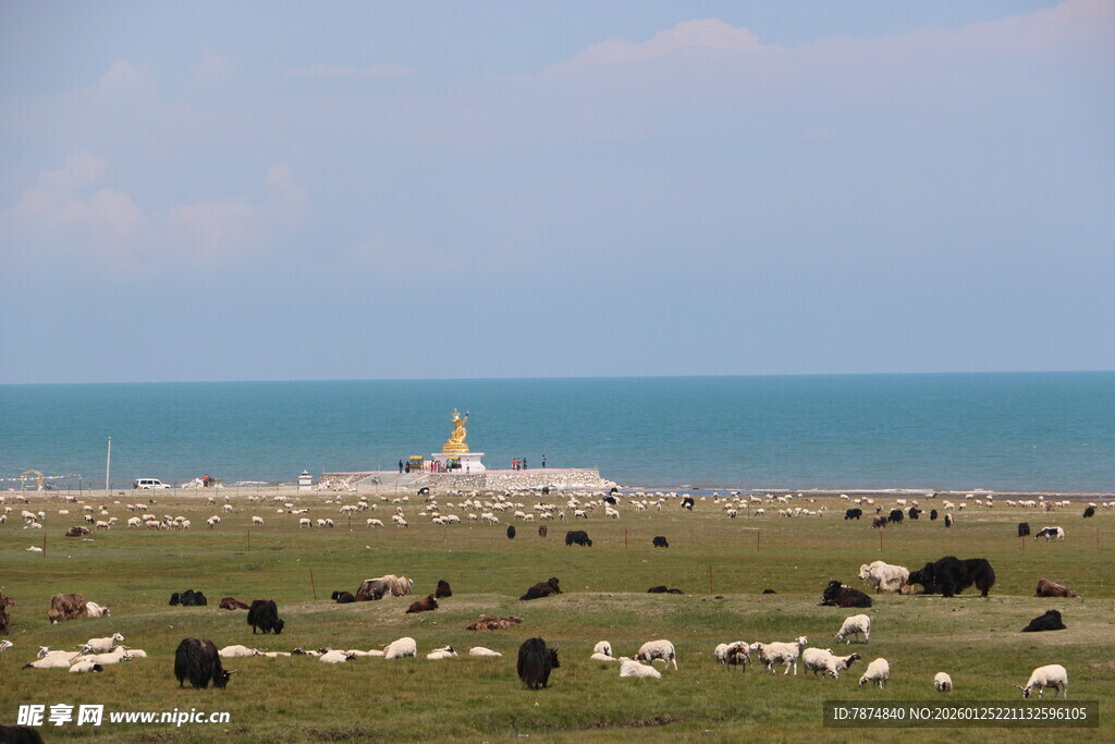 草原湖畔牛羊牧场景象
