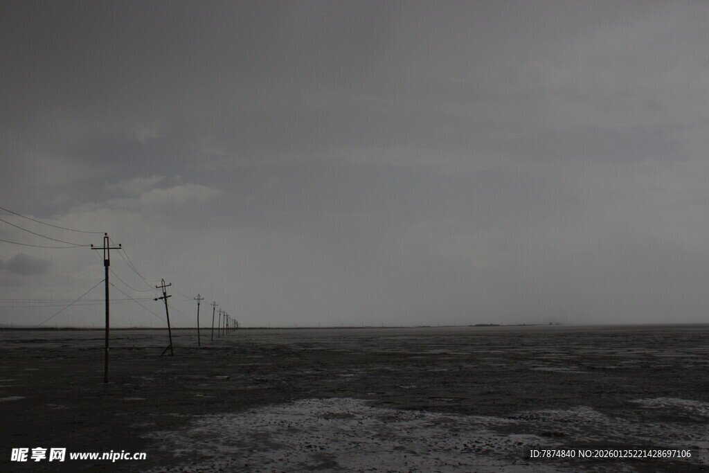 阴沉旷野中的电线杆
