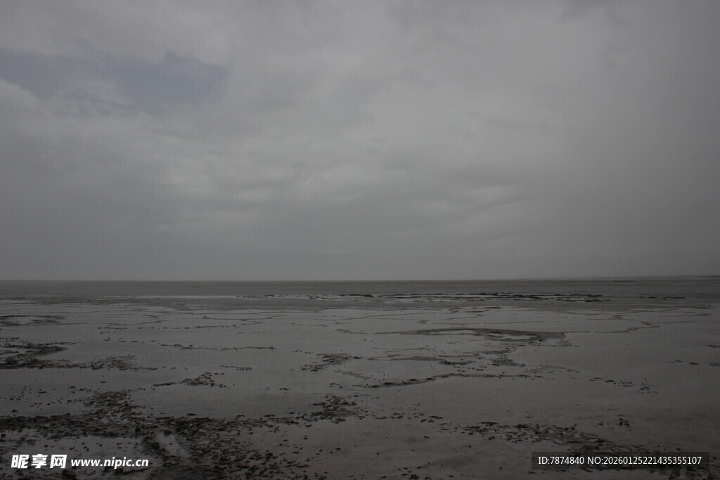 阴沉天空下的广袤滩涂