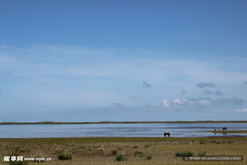 广袤草原上的宁静水域