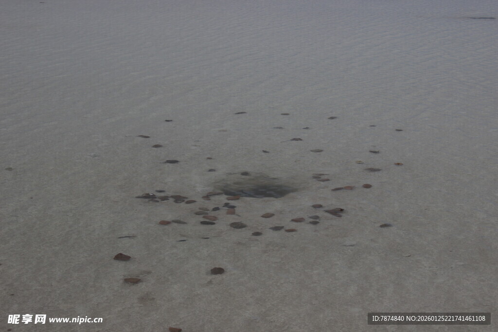 沙滩上的神秘圆形沙坑