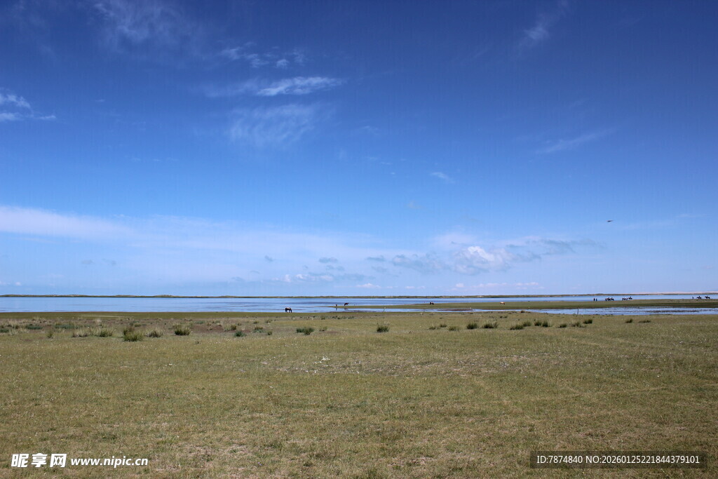 广袤草原与蓝天相映成趣