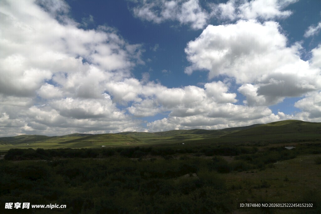 蓝天白云下的广袤原野