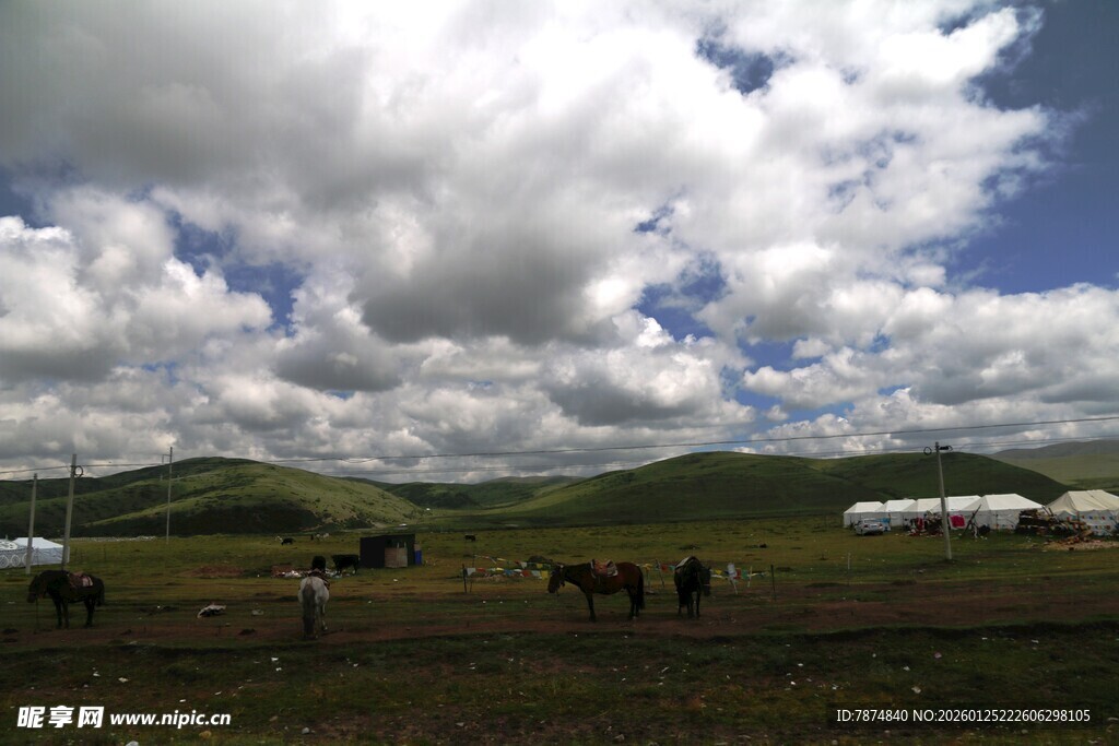 草原风光与蒙古包