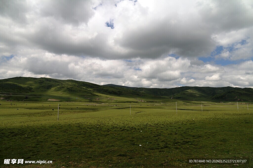 草原风光 云下绿野美景