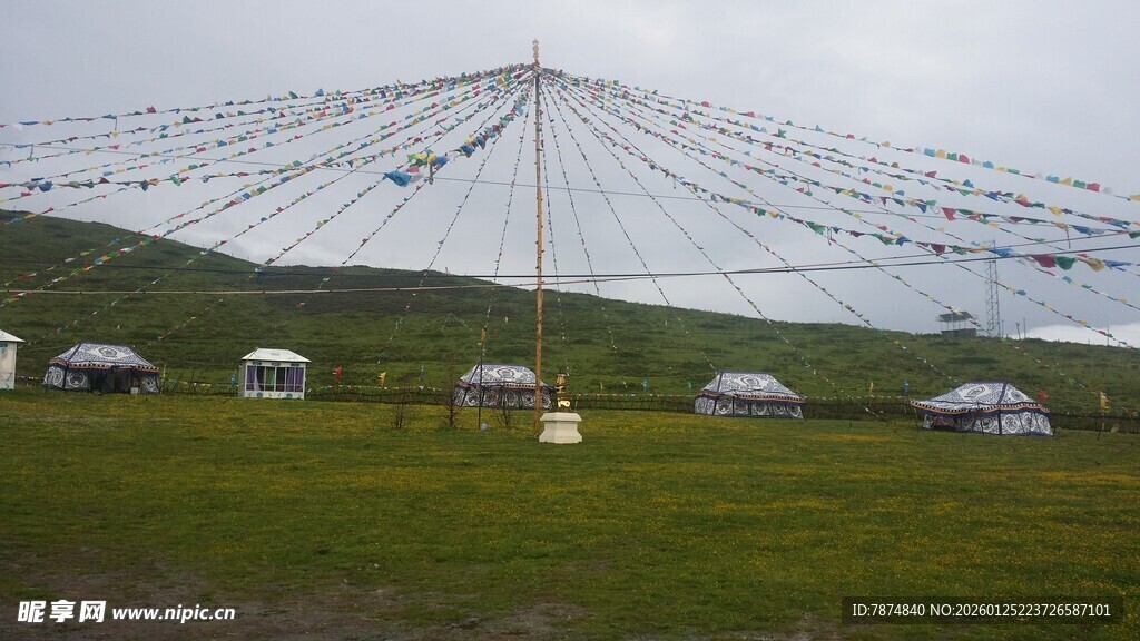 草原上的帐篷与电线景观