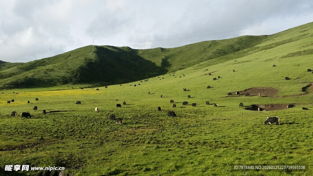 翠绿山野间的美丽风光